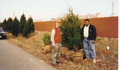 ED holds tree up before planting along the wall on Winchester Drive